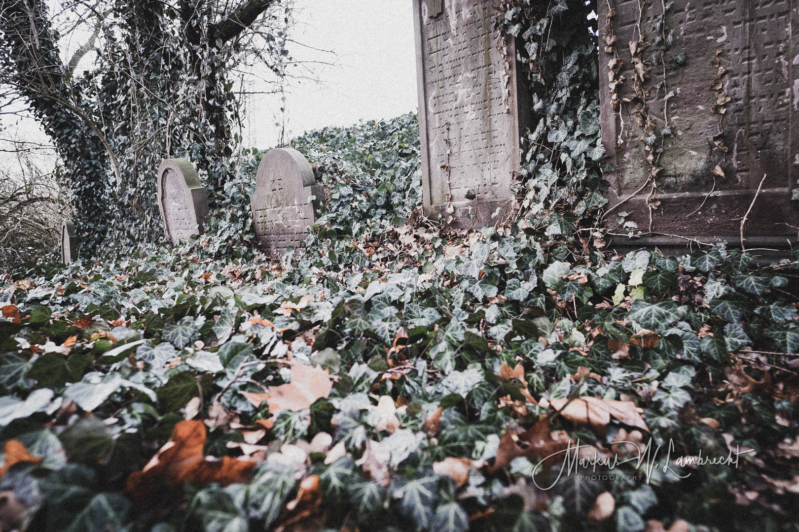 Dassel, Jüdischer Friedhof